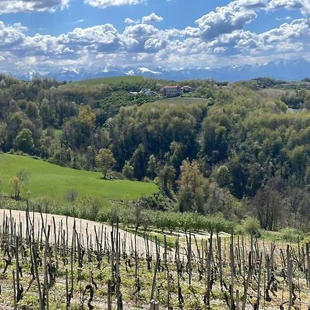 فيلا Spicchio Di Langa - Casa Indipendente Tra Le Vigne E Le Alpi Belvedere Langhe المظهر الخارجي الصورة